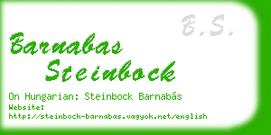 barnabas steinbock business card